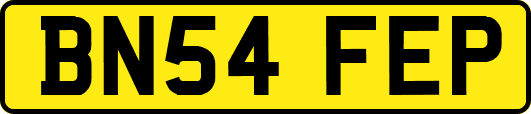 BN54FEP