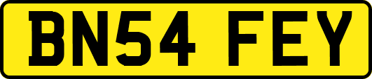 BN54FEY