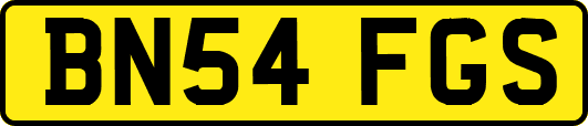 BN54FGS