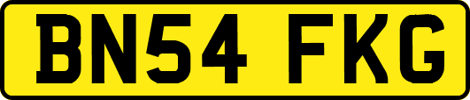 BN54FKG