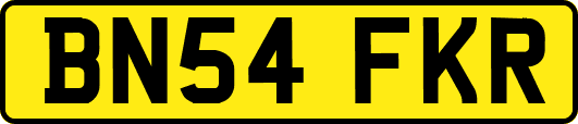 BN54FKR