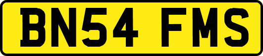 BN54FMS