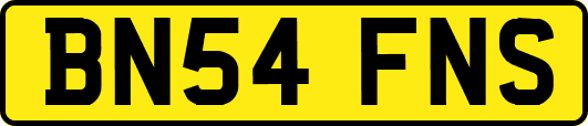 BN54FNS