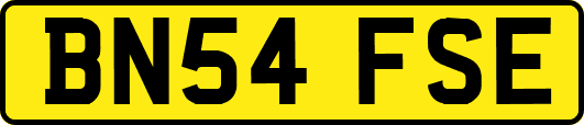 BN54FSE