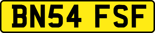 BN54FSF