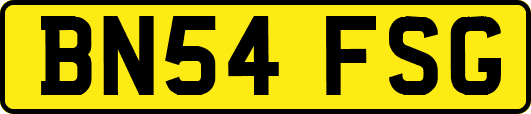 BN54FSG