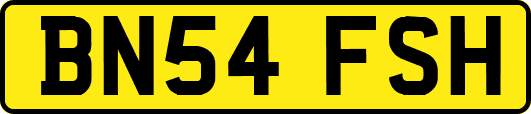 BN54FSH