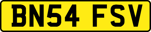 BN54FSV