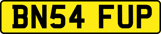 BN54FUP