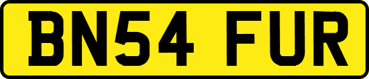 BN54FUR
