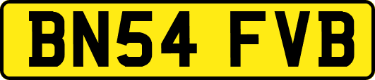 BN54FVB