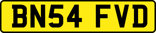BN54FVD