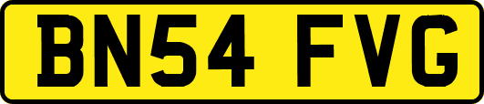 BN54FVG