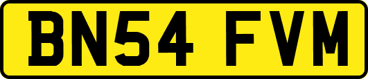 BN54FVM