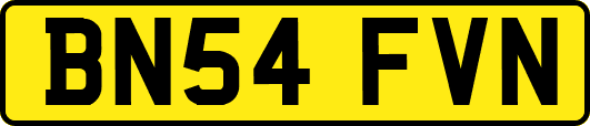 BN54FVN