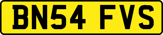 BN54FVS