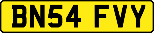 BN54FVY