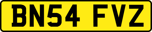 BN54FVZ