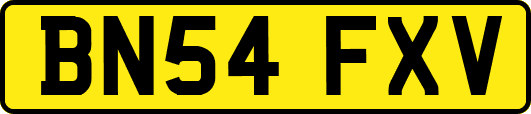 BN54FXV