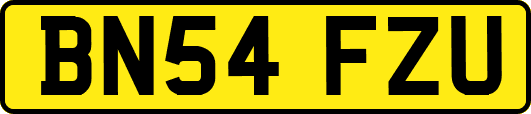 BN54FZU