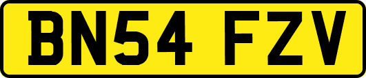 BN54FZV