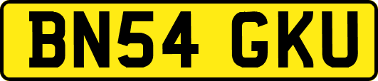 BN54GKU