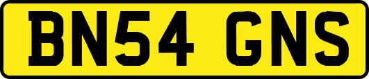 BN54GNS