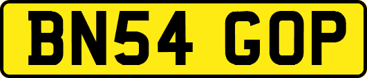 BN54GOP