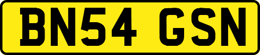BN54GSN
