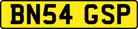 BN54GSP