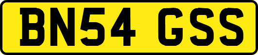 BN54GSS