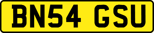 BN54GSU