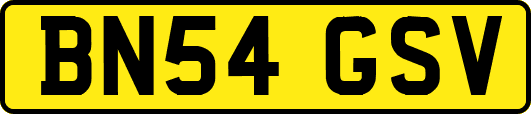 BN54GSV