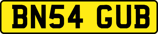BN54GUB