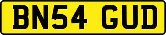 BN54GUD