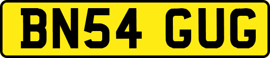 BN54GUG