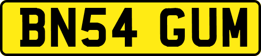 BN54GUM