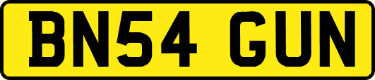 BN54GUN