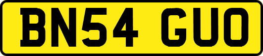 BN54GUO