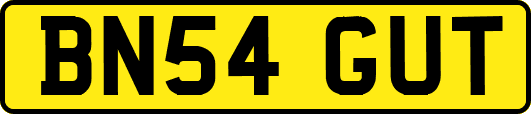 BN54GUT