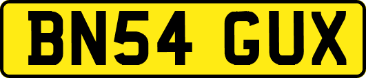 BN54GUX