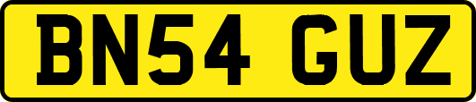 BN54GUZ