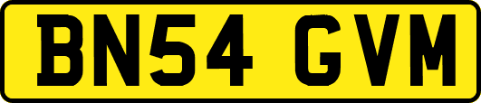 BN54GVM