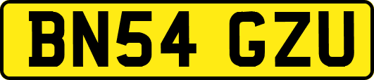 BN54GZU