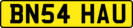 BN54HAU