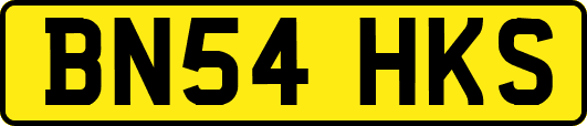BN54HKS