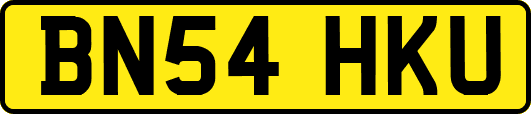 BN54HKU