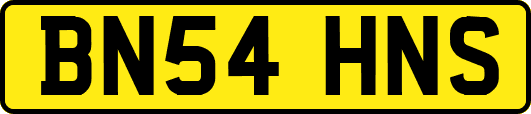 BN54HNS