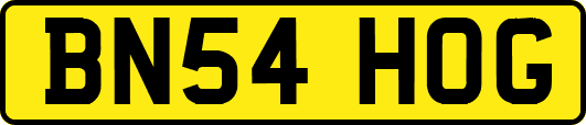 BN54HOG