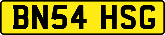BN54HSG